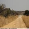Δρόμος για μοτοσυκλέτα backroad-from-bulawayo-to- photo