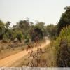 Δρόμος για μοτοσυκλέτα backroad-from-bulawayo-to- photo
