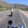 Δρόμος για μοτοσυκλέτα mount-lemmon-highway-- photo