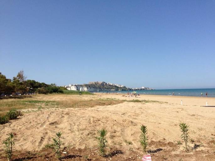 tante-curve--benevento-