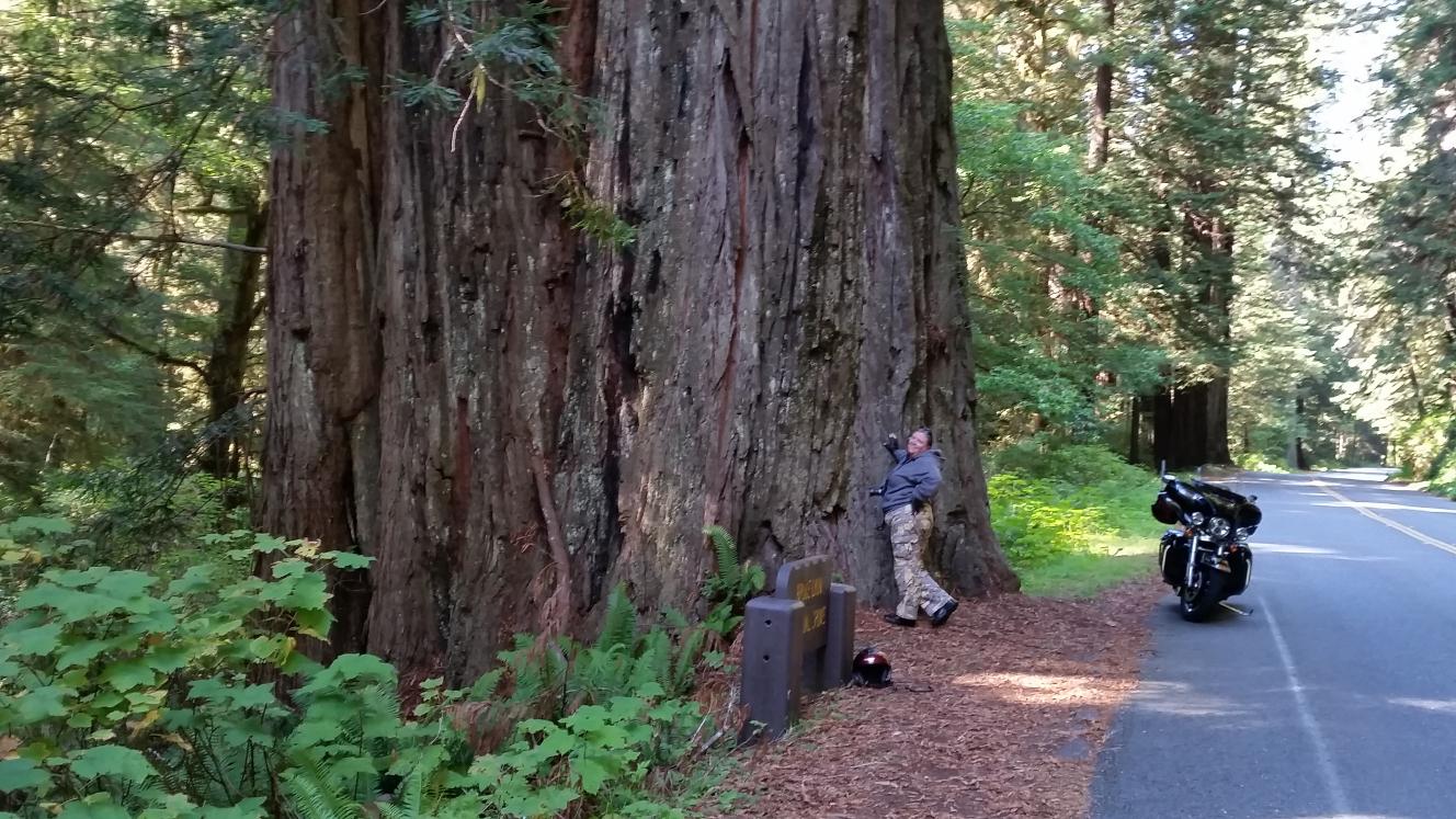 newton-b-drury-scenic-