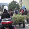 Δρόμος για μοτοσυκλέτα 14--sighisoara-- photo