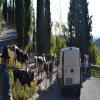 Διαδρομές για μοτοσυκλέτα sacrario-del-monte-grappa- photo