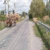 Διαδρομές για μοτοσυκλέτα babadag--murighiol-- photo