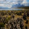 Δρόμος για μοτοσυκλέτα torres-del-paine- photo